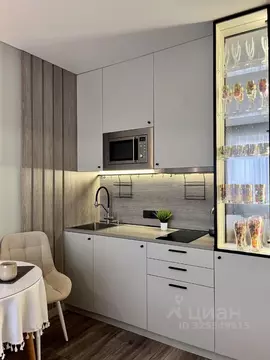 Студия Москва Ленинский просп., 158 (17.0 м)