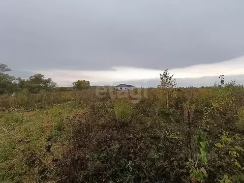 Участок в Калужская область, Бабынинский муниципальный округ, ...