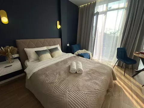 Студия Краснодарский край, Сочи ул. Ленина, 219 (25.0 м)