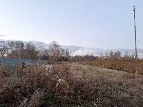 Участок в Новосибирская область, Новосибирский район, Боровской ...