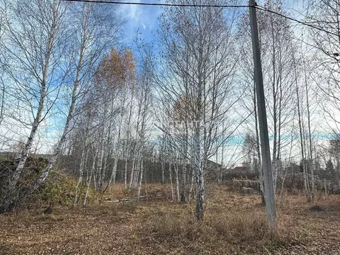 Участок в Челябинская область, Сосновский муниципальный округ, д. ...