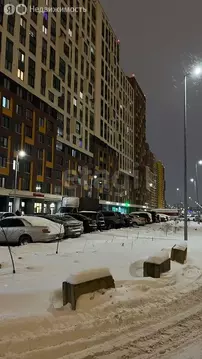 Квартира-студия: деревня Новосаратовка, улица Первых, 4к1 (27.4 м)