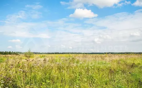 Участок в Тюменская область, Тюменский район, с. Каменка  (150.0 сот.)