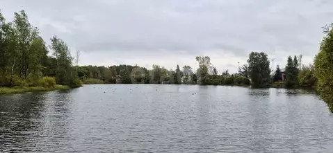 Участок в Санкт-Петербург Сергиево тер.,  (3.78 сот.)