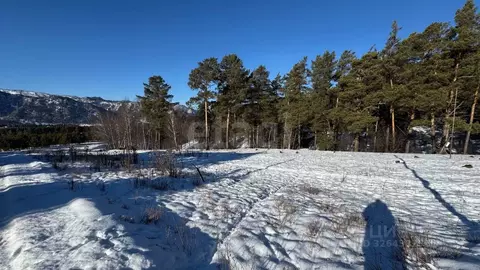 Участок в Алтай, Чемальский район, Элекмонарское с/пос, с. Элекмонар  ...