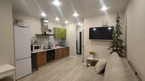 Студия Архангельская область, Архангельск Советская ул., 2 (23.0 м)