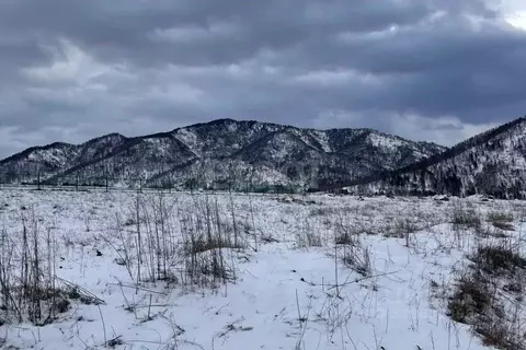 Участок в Алтай, Майминский район, с. Подгорное Центральная ул. (11.1 ...