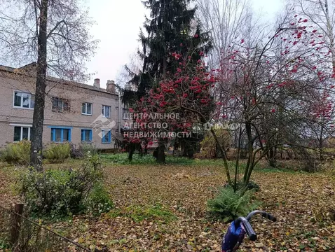 2-к кв. Рязанская область, Шилово рп ул. Рязанская, 124 (41.8 м)