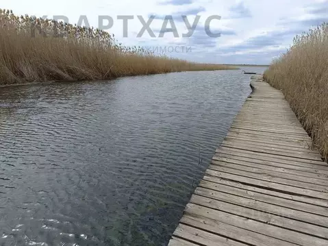 Дом в Волгоградская область, Волгоград Лесник СНТ, ул. Еловая, 76 (60 ...
