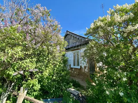 Дом в Оренбургская область, Оренбург с. Краснохолм, ул. Кирова, 23 (56 ...