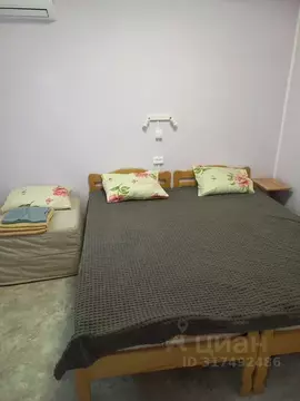 Дом в Краснодарский край, Сочи ул. Кудряшова, 1 (24 м)