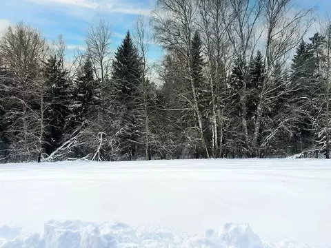 Участок в Московская область, Подольск городской округ, Пузиково кп 33 ...