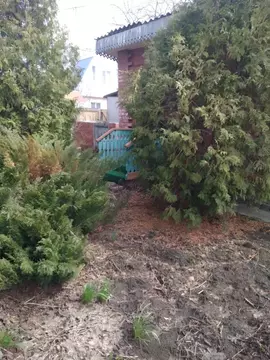 Дом в Омская область, Омск СОСН Строитель-5 тер.,  (45 м)