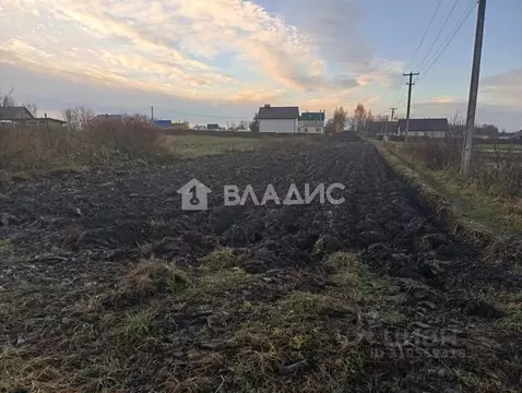 Участок в Владимирская область, Суздальский район, с. Павловское Новая ...