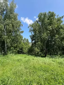 Участок в Алтай, Чемальский район, с. Анос  (15.68 сот.)