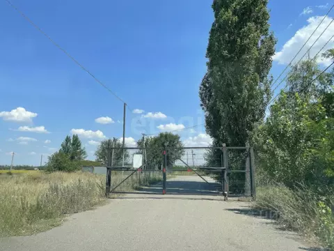 Участок в Ростовская область, Азовский район, Задонское с/пос, Ельбузд ...