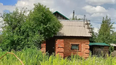 Дом в Омская область, Омск Птицевод-3 СНТ,  (20 м)