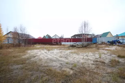 Участок в Ямало-Ненецкий АО, Новый Уренгой ДНТ заимка, ул. Луговая ...