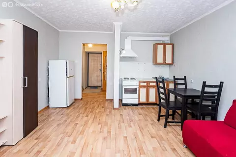 Квартира-студия: Благовещенск, Зейская улица, 285 (26.6 м)