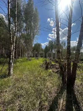 Участок в Ярославская область, Некрасовский муниципальный округ, ...