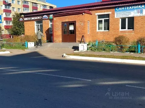 Помещение свободного назначения в Татарстан, Агрыз пер. Максима ...