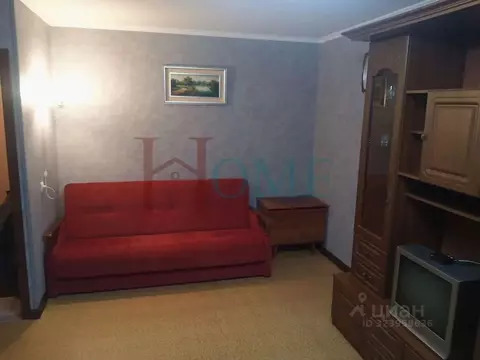 1-к кв. Новосибирская область, Новосибирск ул. Тургенева, 197 (31.0 м)