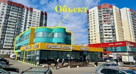 Помещение свободного назначения в Санкт-Петербург просп. Косыгина, 22 ...