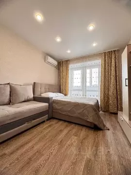 1-к кв. Амурская область, Благовещенск Амурская ул., 55/3 (40.0 м)