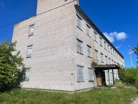 Помещение свободного назначения в Псковская область, Псков Зональное ...