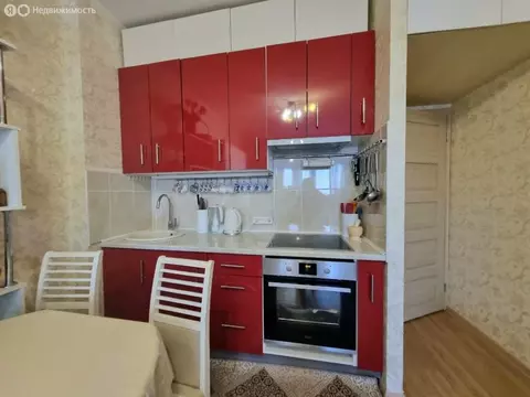 Квартира-студия: Санкт-Петербург, улица Адмирала Черокова, 18к1 (28 м)