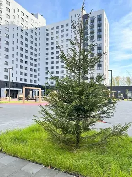 1-к кв. Пензенская область, Пенза ул. Яшиной, 16 (34.23 м)