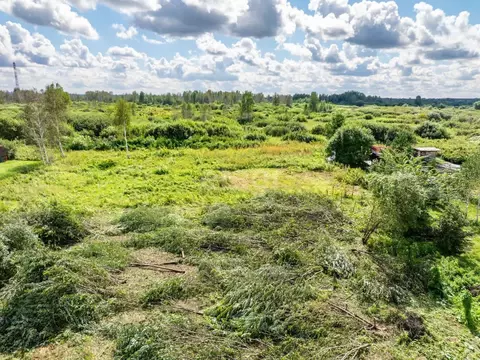 Участок в Новосибирская область, Коченевский район, Лесник СНТ ул. ...