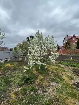 Участок в Тюменская область, Тюменский муниципальный округ, с. ...