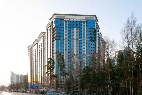 Помещение свободного назначения в Санкт-Петербург просп. Тореза, 118 ...