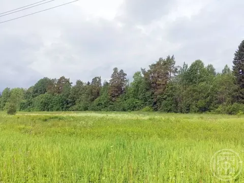 Участок в Ленинградская область, Выборгский район, Красносельское ...