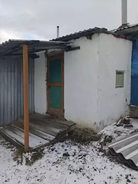 Помещение свободного назначения в Курганская область, Петуховский ...
