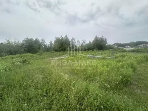 Участок в Брянская область, Брянск СО Мечта тер., ул. Виноградная (6.0 ...