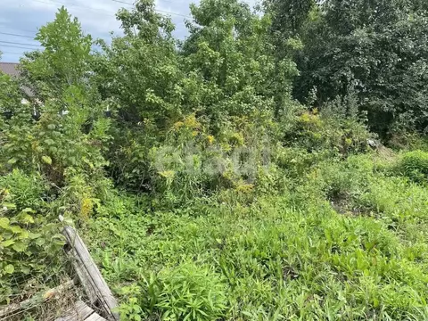 Участок в Брянская область, Брянск ул. Кутузова (7.0 сот.)