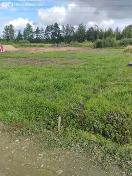 Участок в Богородский городской округ, КП Новое Борилово (7 м)