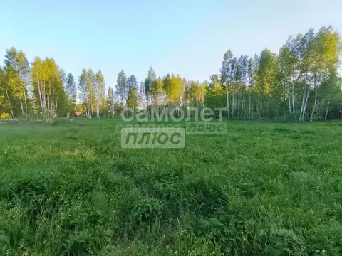 Участок в Калужская область, Дзержинский район, Дворцы с/пос, д. ...