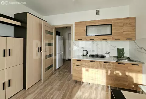 Квартира-студия: Санкт-Петербург, Муринская дорога, 25к1 (19.8 м)