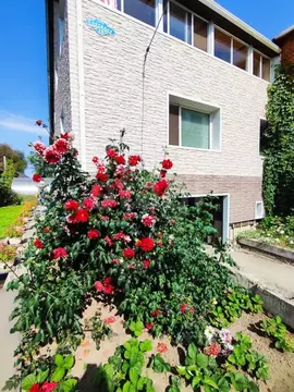 Дом в Амурская область, Благовещенск Северная ул., 13 (256 м)