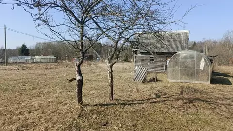 Участок в Ленинградская область, Киришский район, Глажевское с/пос, ...