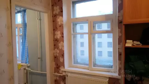 Комната Санкт-Петербург Курская ул., 31 (17.0 м)