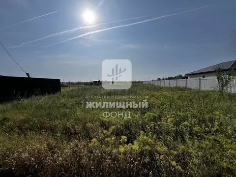 Участок в Саратовская область, Энгельсский район, пос. Новопушкинское ...