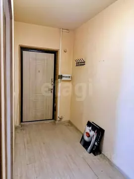 1-к кв. Санкт-Петербург пос. Шушары, ул. Окуловская, 4 (43.0 м)