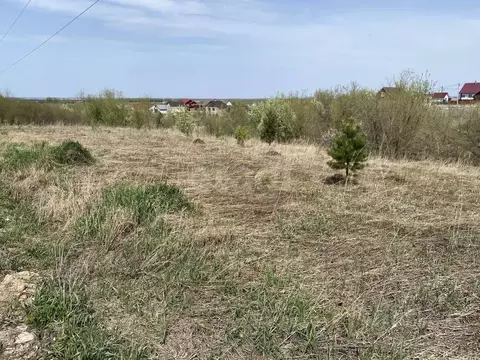 Участок в Алтайский край, Белокуриха ул. Грибная (8.9 сот.)