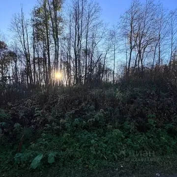 Участок в Ленинградская область, Кингисеппский район, Пустомержское ...