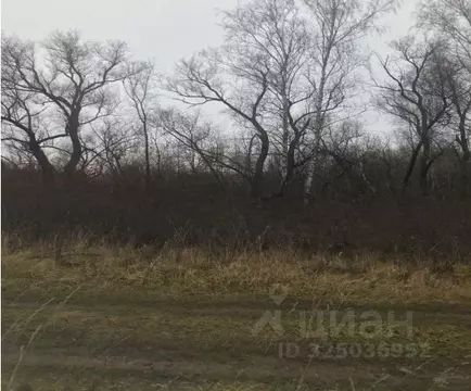 Участок в Московская область, Зарайск муниципальный округ, д. ...