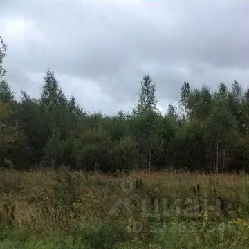 Участок в Нижегородская область, Богородский муниципальный округ, д. ...